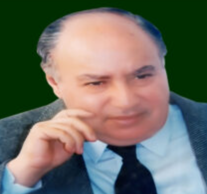 حسن نبيل إبراهيم